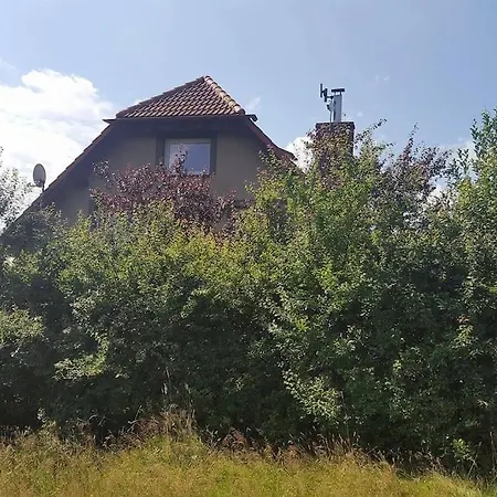 Slaw Jacuzzi Bilard דירה