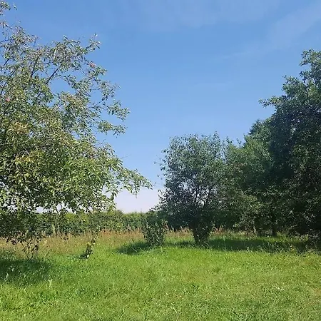 Apartment Slaw Jacuzzi Bilard Ustarbowo