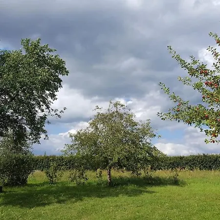 Slaw Jacuzzi Bilard Apartment
