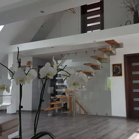 Slaw Jacuzzi Bilard Apartment *