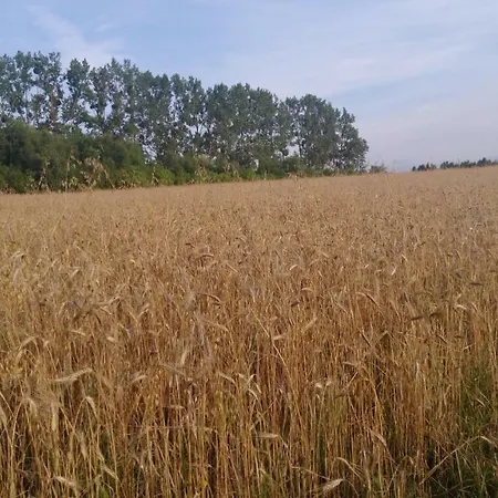 דירה Slaw Jacuzzi Bilard Ustarbowo