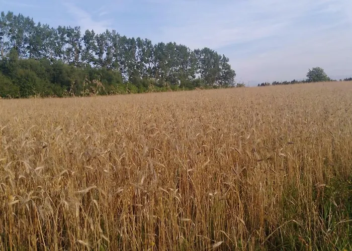 Apartament Slaw Jacuzzi Bilard Ustarbowo